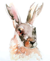Animals Hare - Irish Hare Unframed